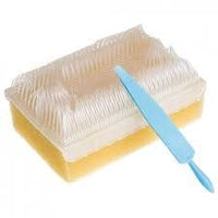 BD Pre-Operative Surgical Scrub Brush