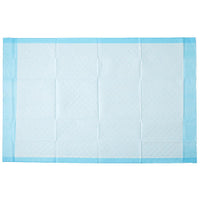 Medline Protection Plus Single-Use Underpad - 23" x 36" Blue Moderate Absorbency