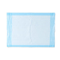 Medline Protection Plus Single-Use Underpad - 17" x 24" Light-Absorbency